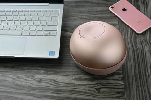 可聯合控制智能設備，智能家居新中樞 若琪·月石智能語音助手深度體驗測評